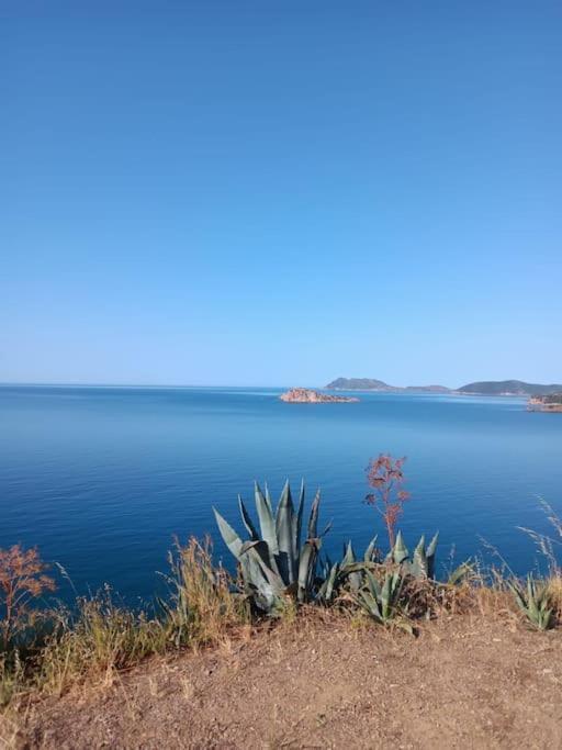 Gli Appartamenti Di Francuzzo Teulada Bagian luar foto